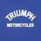 Triumph Mens Burnham T Shirt